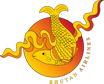Bhutan Airline 