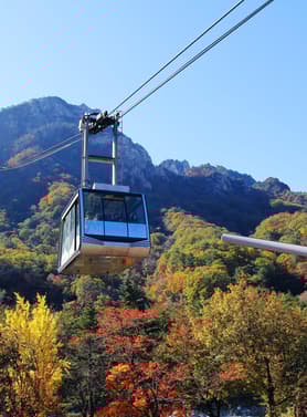 18893 ทัวร์เกาหลี วัน 4 คืน อุทยานซอรัคซาน เกาะนามิ 5 บิน Air Busan