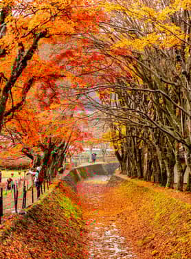 19398 ทัวร์ญี่ปุ่น วัน 4 คืน XJ285 ภูเขาไฟฟูจิ พระใหญ่อุชิคุ ไดบุสสึ 6 บิน ไทยแอร์เอเชียเอกซ์