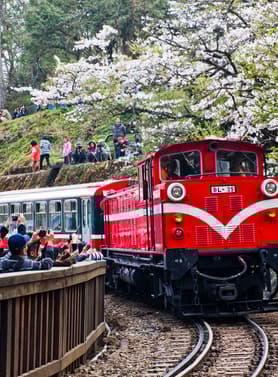 19422 ทัวร์ไต้หวัน วัน 3 คืน อุทยานแห่งชาติอาลีซาน หมู่บ้านจิ่วเฟิ่น 5 บิน China Airlines