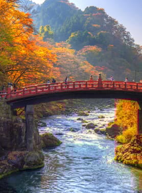 19424 ทัวร์ญี่ปุ่น วัน 3 คืน XJ286 วาโกเอะ ศาลเจ้าโทโชคุ 5 บิน ไทยแอร์เอเชียเอกซ์