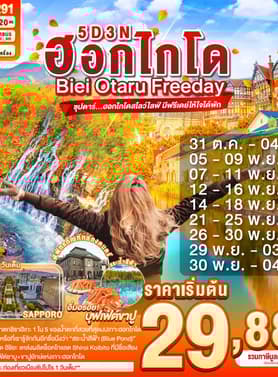 19552 ทัวร์ญี่ปุ่น วัน 3 คืน  5 บิน ไทยแอร์เอเชียเอกซ์