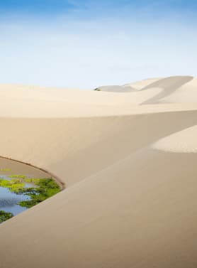 20713 ทัวร์เวียดนาม วัน 3 คืน สวนสนุกวินเพิร์ล ทะเลทรายมุยเน่ น้ำตกดาตันลา 4 บิน Vietnam Airlines