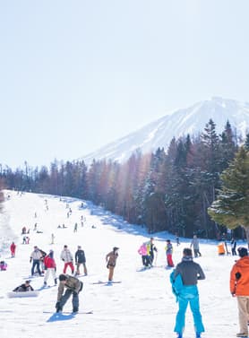 21037 ทัวร์ญี่ปุ่น วัน 3 คืน วัดนาริตะซัน ลานสกี ฟูจิเท็น โอโมเตซันโดะ 5 บิน ไทยแอร์เอเชียเอกซ์