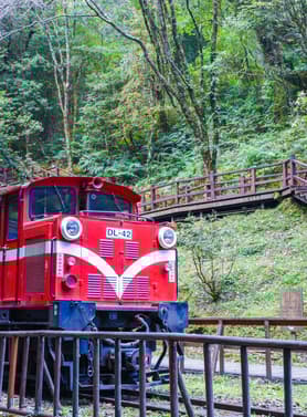 21354 ทัวร์ไต้หวัน วัน 3 คืน GO1TPE-BR111 ทะเลสาบชมสุริยันจันทรา ไถจงไนท์มาร์เก็ต สระนางฟ้า ป่าซีดาร์และต้นไม้พันปี 5 บิน Eva Air