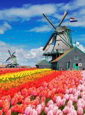 21422 ทัวร์ยุโรป วัน 5 คืน ZGAMS-2601SQ หมู่บ้านกีธูร์น สวนเคอเคนฮอฟ ล่องเรือหลังคากระจก หมู่บ้านกังหันลมซานส์สคันส์ 8 บิน Singapore Airlines