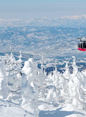 21434 ทัวร์ญี่ปุ่น วัน 3 คืน ZGSDJ-2603HB หมู่บ้านสุนัขจิ้งจอกแห่งซาโอะ ภูเขาซาโอะ ช้อปปิ้งย่านอิจิบังโจ กินซังออนเซ็น 5 บิน Greater Bay Airlines