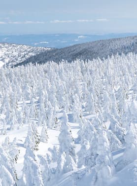 21436 ทัวร์ญี่ปุ่น วัน 4 คืน ZGSDJ-2601BR หมู่บ้านโออุจิจูคุ ทะเลสาบอินะวะชิโระ ถนนคลิสโรด หมู่บ้านสุนัขจิ้งจอก 6 บิน Eva Air