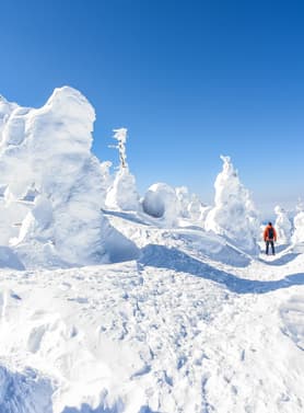 21441 ทัวร์ญี่ปุ่น วัน 5 คืน ZGSDJ-2501BR หมู่บ้านโออุจิ จูคุ กินซังออนเซน ทะเลสาบอินะวะชิโระ ฟุกุชิมะ 7 บิน Eva Air