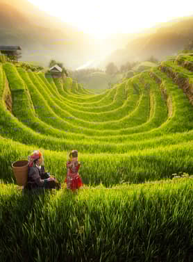 21452 ทัวร์เวียดนาม วัน 4 คืน GO1HAN-VJ111 Moana Sapa หมู่บ้านากั๊ตกั๊ต โบสถ์หิน จตุรัสบาดิงห์ 5 บิน VietJet Air