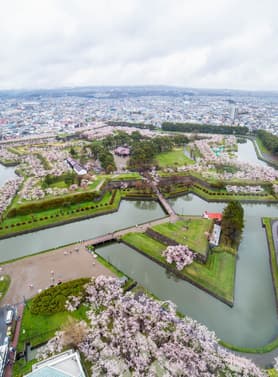 21552 ทัวร์ญี่ปุ่น วัน 4 คืน GO2CTS-TG063 ป้อมโกะเรียวคะคุ เนินพระพุทธเจ้า ฟาร์มหมีสีน้ำตาล 6 บิน การบินไทย