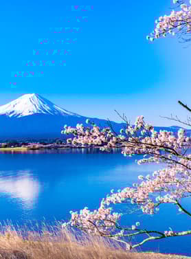 21618 ทัวร์ญี่ปุ่น วัน 5 คืน GO2KIX-TG076 โอซาก้า ศาลเจ้านัมบะ ยาซากะ เมืองนาโกย่า โตเกียว 7 บิน การบินไทย