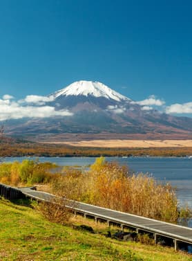 21668 ทัวร์ญี่ปุ่น วัน 3 คืน GO2NRT-XJ044 งานเทศกาลประดับไฟ คาวาโกเอะ วัดอาซากุสะ อิสระช้อปปิ้งในโตเกียว 1 วัน 5 บิน ไทยแอร์เอเชียเอกซ์