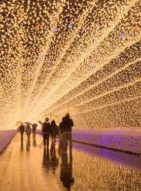 21726 ทัวร์ญี่ปุ่น วัน 3 คืน CXJKIX8 วัดโทไดจิ งานประดับไฟนาบานะ โนะ ซาโตะ ถนนซันมาจิซูจิ วัดเบียวโดอิน 5 บิน ไทยแอร์เอเชียเอกซ์