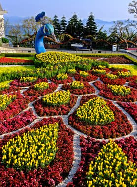 21736 ทัวร์เวียดนาม วัน 3 คืน PV-MAGIC-EK สะพานมังกร APEC PARK วัดหลินอึ๋ง บานาฮิลล์ 4 บิน Emirates Airline