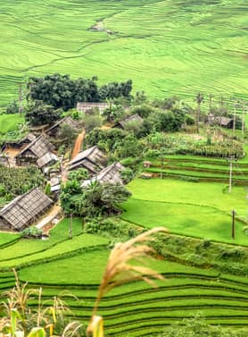 21764 ทัวร์เวียดนาม วัน 3 คืน PV-GM02-VN ยอดเขาฟานซีปัน MOANA SAPA CAFE หมู่บ้านก๊าดๆ โบสถ์หิน 4 บิน Vietnam Airlines