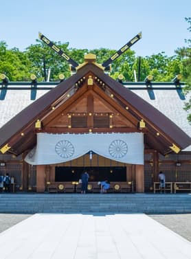 21778 ทัวร์ญี่ปุ่น วัน 4 คืน GO2CTS-TG066 น้ำตกกิงกะ ชมทุ่งดอกชิบะซากุระ ทานุกิโคจิ เนินเขาแห่งพระพุทธเจ้า 6 บิน การบินไทย