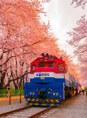 21797 ทัวร์เกาหลี วัน 4 คืน 60163 WDPUS005 เทศกาลจินแฮกุนฮังเจ วัดแฮดงยงกุงซา ตลาดนัมโพดง หมู่บ้านวัฒนธรรมคัมชอน 5 บิน Air Busan