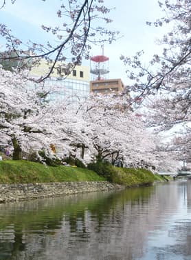 21829 ทัวร์ญี่ปุ่น วัน 4 คืน RJ-XJ120 วัดทองคินคะคุจิ ชิราคาวาโกะ ปราสาทโทยามะ ชินไซบาชิ 6 บิน ไทยแอร์เอเชียเอกซ์