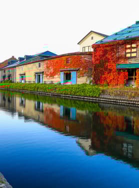 21836 ทัวร์ญี่ปุ่น วัน 4 คืน GO2CTS-TG065 เมืองแห่งเอโดะโนเบ็ทสึดาเตะจิไดมุระ สวนฟูกิดาชิ ศาลเจ้าฮอกไกโด คลองโอตารุ 6 บิน การบินไทย