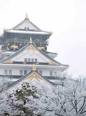 21879 ทัวร์ญี่ปุ่น วัน 3 คืน CXJKIX5 นาบานะ โนะ ซาโตะ ศาลเจ้าฟูชิมิอินาธิ วัดไดชิซังเซอิไดจิ ตลาดปลานิฮงไค 5 บิน ไทยแอร์เอเชียเอกซ์