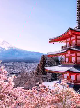 21888 ทัวร์ญี่ปุ่น วัน 4 คืน RJ-XJ116 วัดเซ็นโชจิ ย่านอูเอโนะ ย่านโอไดบะ ภูเขาไฟฟูจิ 6 บิน ไทยแอร์เอเชียเอกซ์