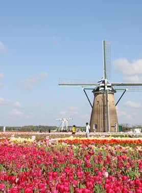 21889 ทัวร์ญี่ปุ่น วัน 4 คืน RJ-XJ117 ฟุรุซาโตะ ภูเขาทาคาโอะ สวนสันติภาพเฮวะ วัดไทเซกิจิ 6 บิน ไทยแอร์เอเชียเอกซ์