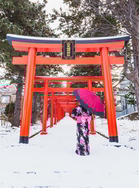 21909 ทัวร์ญี่ปุ่น วัน 4 คืน PJPKIX04-SL ศาลเจ้าฟูชิมิอินาริ ชิราคาวาโกะ ลานสกีฟุคุอิ อิซุมิ ทะเลสาบมิคะตะ 6 บิน Thai Lion Air