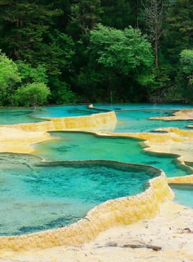 21913 ทัวร์จีน วัน 5 คืน GO1TFU-TG033 อุทยานหวงหลง ภูเขาสี่ดรุณี อุทยานแห่งชาติจิ่วจ้ายโกว วัดต้าฉือ 6 บิน การบินไทย