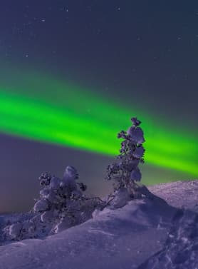 21932 ทัวร์รัสเซีย วัน 7 คืน VRUS97WY-11 เขาสแปร์โรว์ฮิลล์ หมู่บ้านซามิ พระราชวังฤดูร้อน โบสถ์หยดเลือด 9 บิน Oman Air