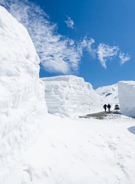 21959 ทัวร์ญี่ปุ่น วัน 4 คืน XJ339 วัดเบียวโดอิน โอโมเตะซันโด คามิโคจิ สะพานกัปปะ 6 บิน ไทยแอร์เอเชียเอกซ์