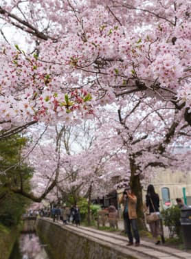 21961 ทัวร์ญี่ปุ่น วัน 4 คืน GO2HND-TG042 วัดโคโตคุอิน วัดกินคะคุจิ ถนนสายนักปราชญ์ Freeday 6 บิน การบินไทย