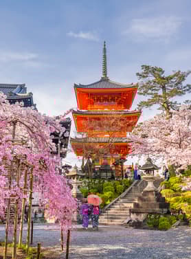 21983 ทัวร์ญี่ปุ่น วัน 4 คืน JXJ260 วัดอาซากุสะ สวนจิโดริกะฟุจิ สวนโออิชิปาร์ค ชิราคาวาโกะ 6 บิน ไทยแอร์เอเชียเอกซ์