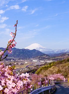 21986 ทัวร์ญี่ปุ่น วัน 4 คืน JXJ243 หุบเขาโอวาคุดานิ ทะเลสาบยามานากาโกะ ย่านชินจูกุ วัดอาซากุสะ 6 บิน ไทยแอร์เอเชียเอกซ์