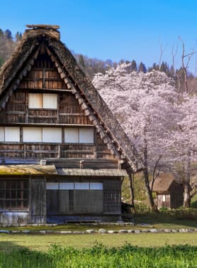 21987 ทัวร์ญี่ปุ่น วัน 5 คืน GO2HND-TG043 วัดโคโตคุอิน ทะเลสาบคาวากุจิโกะ โอชิโนะฮักไก ชิราคาวาโกะ 7 บิน การบินไทย