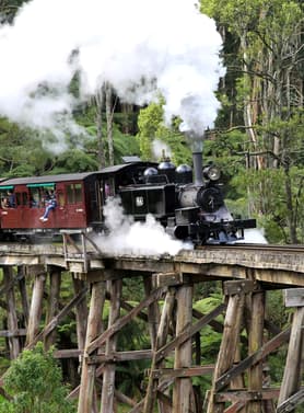 22016 ทัวร์ออสเตรเลีย วัน 4 คืน GO3SYD-TG004 หาดบอนได ล่องเรืออ่าวซิดนี่ย เมลเบิร์น อุทยานแห่งชาติบลูเม้าท์เท่นส์ 7 บิน การบินไทย