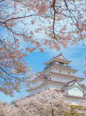 22024 ทัวร์ญี่ปุ่น วัน 4 คืน 4 ZGNRT-2601SQ พระใหญ่อุชิคุ ปราสาทสึรุกะ ศาลเจ้าโทโชกุ ตรอกขนมหวานคาชิยะ 7 บิน Singapore Airlines