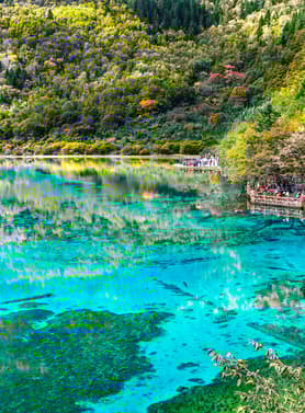 22196 ทัวร์จีน วัน 5 คืน 2UTFU-CA001 สี่ดรุณี ปี้เผิงโกว จิ่วจ้ายโกว 6 บิน Air China