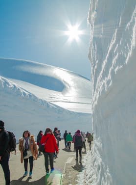 22258 ทัวร์ญี่ปุ่น วัน 4 คืน กำแพงหิมะ Japan Alps คามิโคจิ ทุ่งดอกเนโฟีล่า 6 บิน การบินไทย