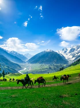 22259 ทัวร์อินเดีย  วัน 4 คืน GO1DEL-TG004  สวนชาลิมาร์ สวนทิวลิป ศรีนาคา ทัชมาฮาล 6 บิน การบินไทย