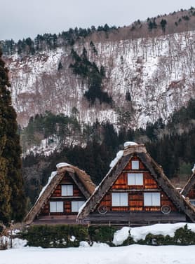 22313 ทัวร์ญี่ปุ่น วัน 4 คืน GO2NGO-TG081 หมู่บ้านชิราคาวาโกะ ศาลเจ้าชิราฮิเงะ ศาลเจ้าฟูชิมิอินาริ ตลาดปลาคุโรมง 6 บิน การบินไทย