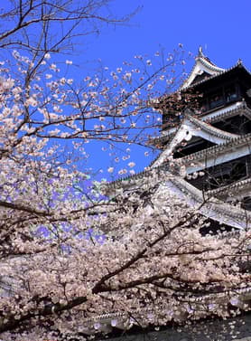 22316 ทัวร์ญี่ปุ่น วัน 5 คืน GO2FUK-TG030 สวนมิฟุเนะยาม ชมซากุระรอบปราสาทคุมาโมโตะ วัดจินโคคุจิ  หมู่บ้านยูฟุอิน ฟลอร์รัล 7 บิน การบินไทย