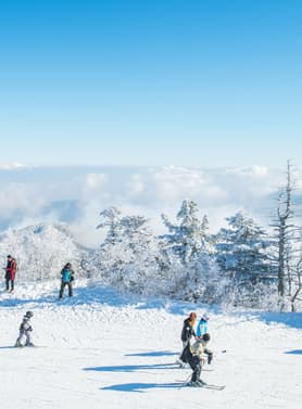 22332 ทัวร์เกาหลี วัน 3 คืน KBX62 สวนสนุก Everland Suwon Starfield Library ย่านฮงแด ย่านเมียงดง 5 บิน AIR BUSAN