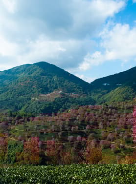 22358 ทัวร์จีน วัน 4 คืน SHMUKMG33 น้ำตกเก้ามังกร สวนเหล่าหยูเหอ เมืองโบราณกวนตู้ ภูเขาซีซาน 5 บิน China Eastern Airlines