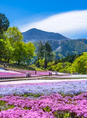 22366 ทัวร์ญี่ปุ่น วัน 5 คืน SHSQNGO9 วัดโกเคไซอัน สวนฮานาโมโมะ ชิราคาวาโกะ ล่องเรือมัตสึคาวะ 8 บิน Singapore Airlines