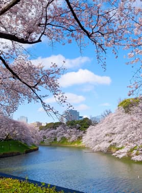 22368 ทัวร์ญี่ปุ่น วัน 3 คืน BT-NRT_S06_XJ สวนจิโดริกะฟุจิ โอชิโนะ อัคไค ช้อปปิ้งชินจูกุ 5 บิน ไทยแอร์เอเชียเอกซ์