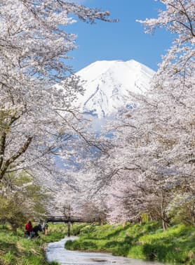 22399 ทัวร์ญี่ปุ่น วัน 4 คืน GO2KIX-TG082 จุคโคคุ พาส สวนดอกบ๊วยอาตามิ วัดไทเซคิจิ พิพิธภัณฑ์ศิลปะโมอา 6 บิน การบินไทย