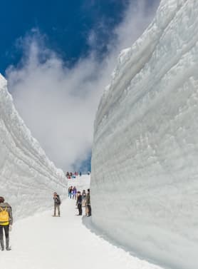 22403 ทัวร์ญี่ปุ่น วัน 4 คืน GO2KIX-TG083 Japan Alps วัดมิมุโระโทจิ สะพานคัปปาบาชิ  ชินไซบาชิ 6 บิน การบินไทย