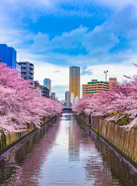 22424 ทัวร์ญี่ปุ่น วัน 4 คืน BT-KIX-NRT_S01_XJ วัดคินคะคุจิ ชิราคาวาโกะ สวนอาซาฮิฟุนะคาวะ ทะเลสาบคาวากูจิโกะ 6 บิน ไทยแอร์เอเชียเอกซ์