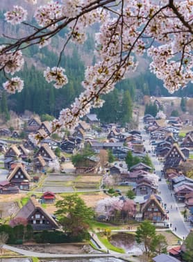 22459 ทัวร์ญี่ปุ่น วัน 3 คืน XJ343 วัดกินคะคุจิ ศาลเจ้าฮิราโนะ ช้อปปิ้งชินไซบาชิ 5 บิน ไทยแอร์เอเชียเอกซ์